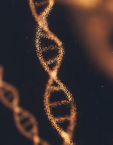 Représentation de l'ADN comme cadeau pour un test ADN
